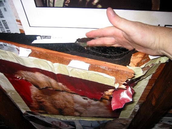 The tree punched a hole in the attic roof... and a kitten poster got ripped.