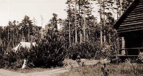 Photo 3: The log cabin and an undisturbed Sullishak site.