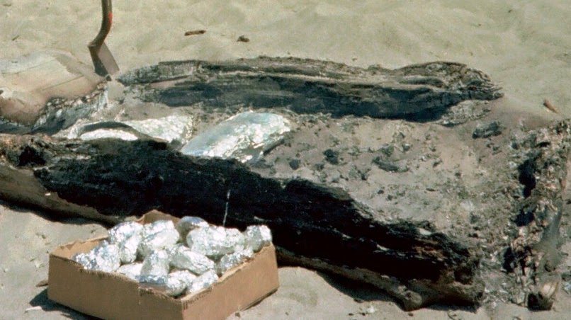 Photo 19: A typical salmon bake fire pit. The fire has burned down, the potatoes have been cooked, and the two salmon are nearly ready to eat.