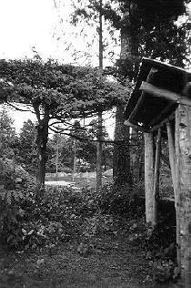 Photo 27: Our outdoor woodshed around 1990.