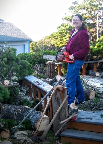 Barbara's photographs — photograph 27
