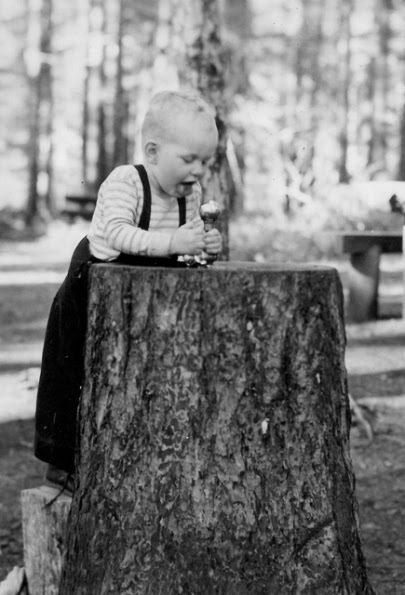 This photo was labeled Silver Creek Falls. Interesting drinking fountain.