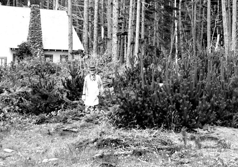 Emma Beary (Orma Sullivan's mother) stands on the future Sullishak site during WWII. The scruffy-looking stand of trees at the back of the property line shows a “natural” forest condition for the coast—that area had never been logged.