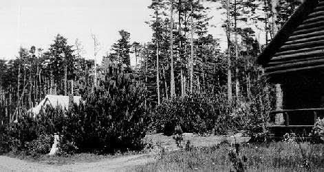 Looking north we see the log cabin at 4025 Mina Avenue along with an undisturbed Sullishak site in 1945. This log cabin was affectionately known as the Lincoln Beach Lodge by the neighboring community and is said to have served as the clubhouse and gathering area for an early campground. An elderly neighbor spoke of dances, church services and board games here in her youth. The upstairs bedrooms were dormitories for men and women workers and the downstairs was cookhouse and gathering space. When the Great Depression hit, nobody could afford to pay to go camping and the owners of the lodge simply walked away.